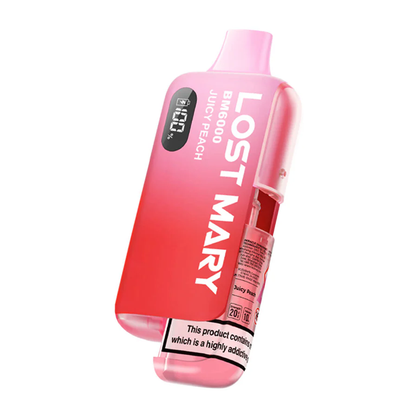 LOST MARY BM6000 Pod Kit
