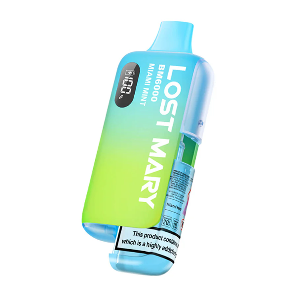 LOST MARY BM6000 Pod Kit
